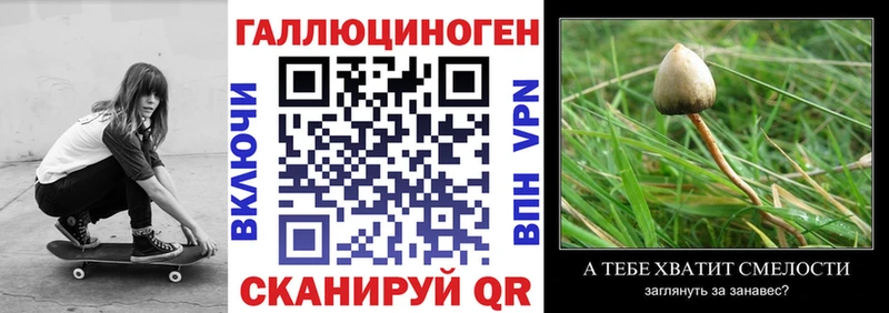 Псилоцибиновые грибы Psilocybe  Ардатов 